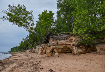 Veczemju klintis is the most impressive and magnificent group of sandstone cliffs on the coast of Vidzeme.