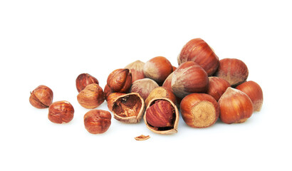 Hazelnut on a white background