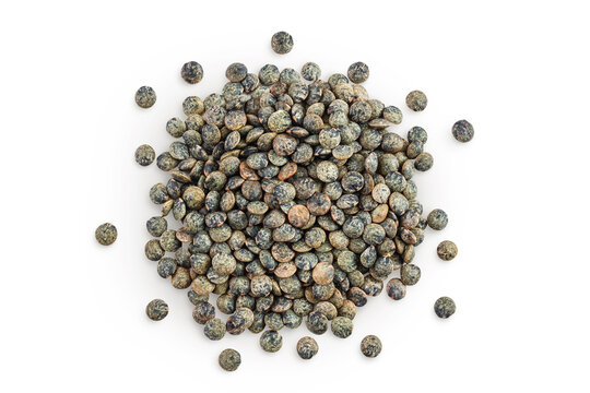 raw french green lentils isolated on white background with full depth of field