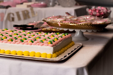 Baby Shower Cake & Cookies (Baby Girl)
