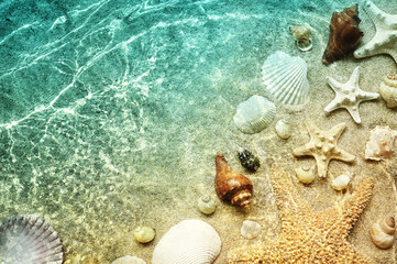 Starfish and seashell on the summer beach in sea water. Summer background. Summer time. - obrazy, fototapety, plakaty