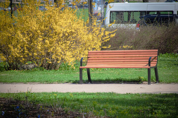 Wooden bench standing near path with big yellow blooming hedge on the background in a city park