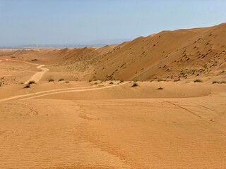 Wahiba Sands desert, Oman 