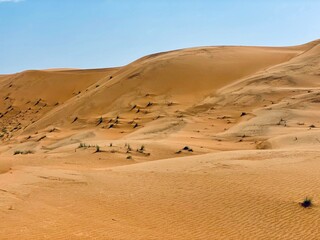 Fototapeta na wymiar Desert sand dunes, Wahiba Sands, Oman 