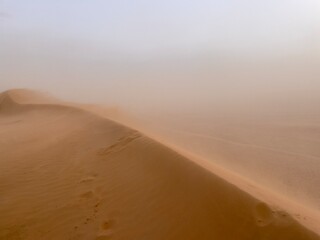 Fototapeta na wymiar Dune edge during a desert storm, Wahiba, oman