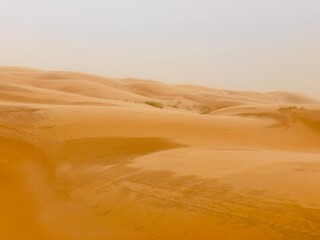 Fototapeta na wymiar View of the sand dunes of the desert during a desert storm, Wahiba Sands, Oman 