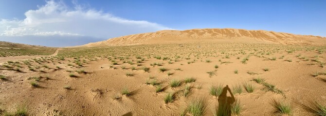 desert landscape in oman, Wahiba sands