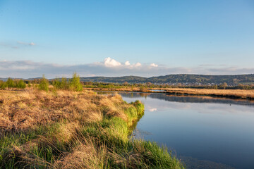 Bog  Grosses Torfmoor in Germany.
