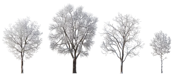 Fototapete Rund Bäume Winter various snowed trees isolated png on a transparent background premium cutout   © Roman