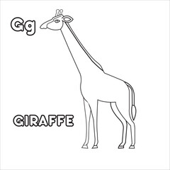 Vector alphabet learning with cute hand drawn animal coloring page