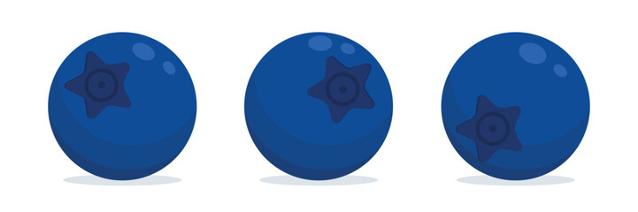 Set blueberries with leaves in different angles, Summer fruits for a healthy lifestyle. Organic fruit. Cartoon style. vector illustration on white transparent background for label and design