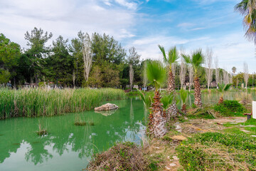 Park in the Turkish city of Antalya. Park with palm trees and a pond with turquoise water. 