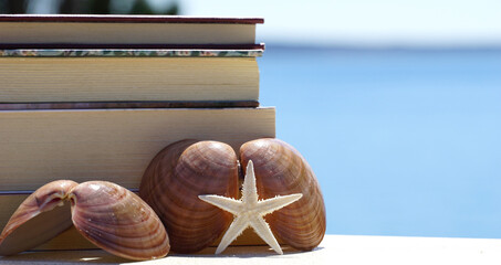 Starfish and seashells leaning on books with blue sea background