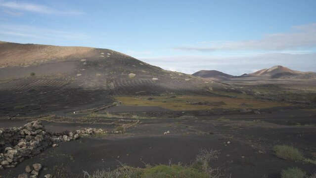Volcanic landscape and vineyards, La Geria, Uga, Las Palmas, Lanzarote