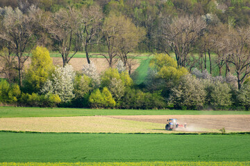 ciągnik rolniczy wykonujący prace polowe, w tle kwitnące drzewa