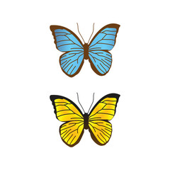 Fototapeta na wymiar butterfly isolated illustration on white banckground