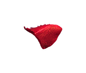 A red leaf with water drops photo flower petals png