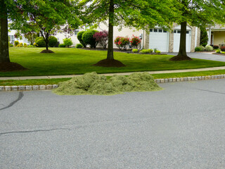 Mound of freshly cut grass on an asphalt street near a curb and grass lawn