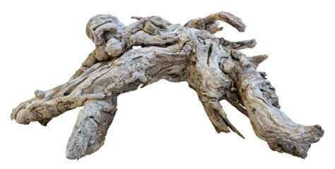 Twisted piece of driftwood forms a bridge-like shape