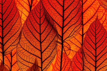 Obraz premium close-up view of green leaves with water droplets Generative AI