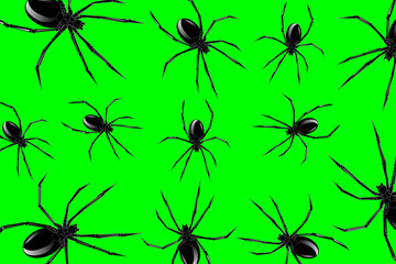 Abstract background with spiders. Black widow spiders scattered on a green background. The concept of poisonous animals 