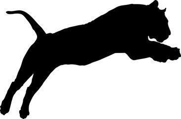 Jumping tiger black and white illustration
