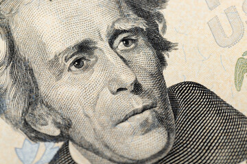 portrait of the president on American twenty dollar bills - obrazy, fototapety, plakaty