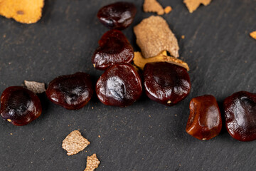 brown tamarind seeds on the table, scattered seeds