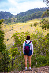 Naklejka premium hiker girl with a backpack walks through a dense australian bush in mount barney national park; hiking in the mountains, queensland, australia