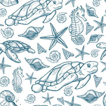 Seamless pattern with turtle, seashells and Ocean mollusk on white background. Vector illustrations of engraved lines