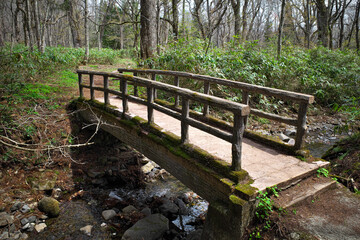 Fototapeta na wymiar 山道にかかる木製の橋