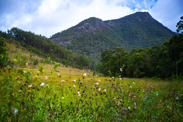 panorama of mount barney national park, scenic mountains in south east queensland near gold coast...