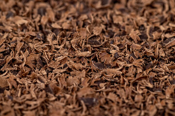 A large number of chocolate chips on the surface