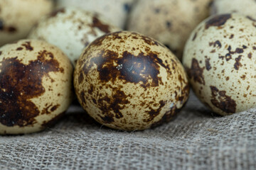 small boiled quail eggs on the table
