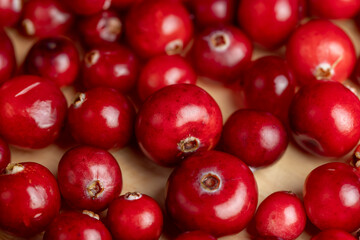 Red ripe cranberries harvested in swamps