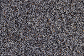 a close-up of a pile of poppy seeds used in cooking