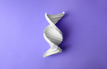 Paper model of DNA molecular chain on violet background, top view