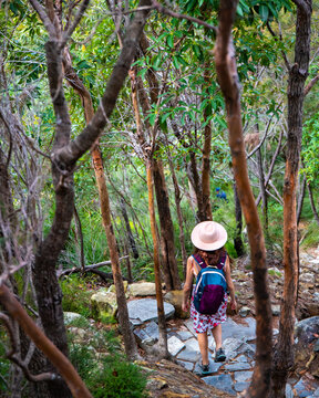 hiker girl in a hat walking down the stairs from the top of mount coolum; hiking famous mount coolum near sunshine coast and glass house mountains, queensland, australia