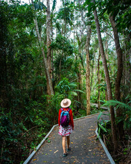 beautiful girl in hat walking through the dense bush near sunshite coast and brisbane, queensland, australia; unique plants in maroochy wetland sanctuary