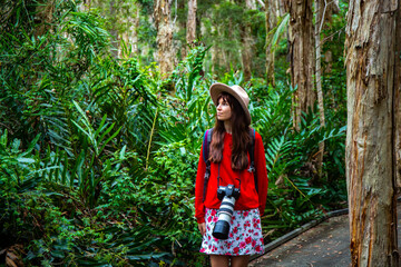 beautiful girl in hat walking through the dense bush near sunshite coast and brisbane, queensland,...