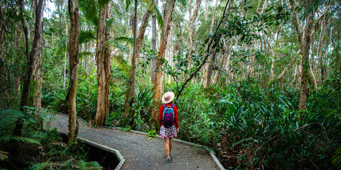 beautiful girl in hat walking through the dense bush near sunshite coast and brisbane, queensland,...