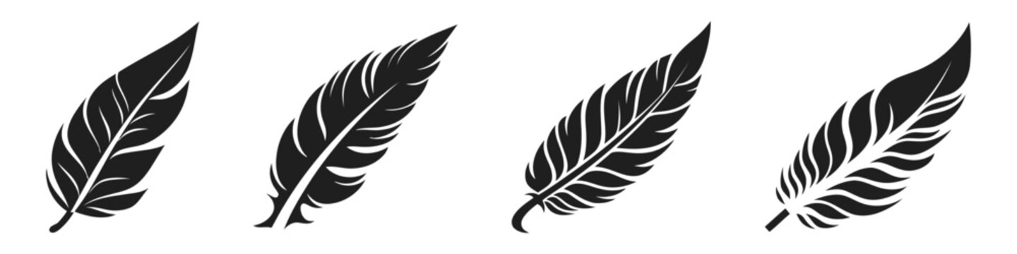 Set of bird feathers. Hand drawn illustration converted to vector. Outline with transparent background