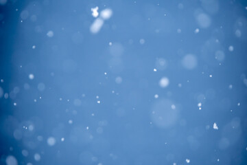 舞い落ちる雪　冬のイメージ