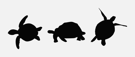 isolated black silhouette of a turtle , vector collection
