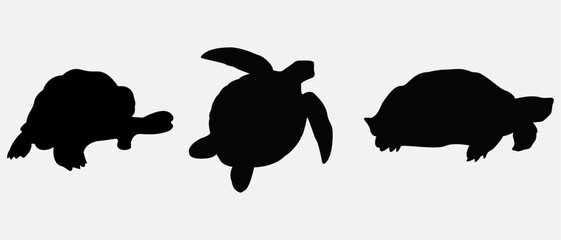 isolated black silhouette of a turtle , vector collection
