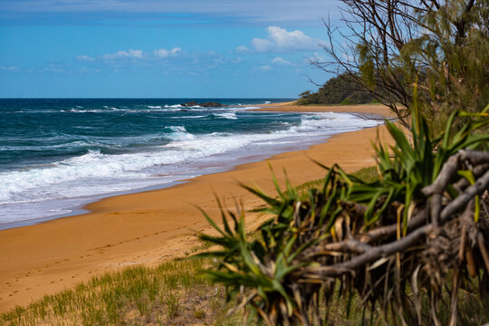 unique landscape of deepwater national park near anges water and town of 1770 in gladstone region, queensland, australia; sand dunes, red sand beaches and lush vegetation by the ocean