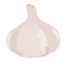 garlic, foodstuff, herb, health, garlic drawing