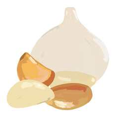 garlic, foodstuff, herb, health, garlic drawing 
