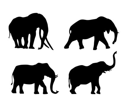 Vector collection of elephant silhouette