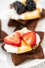 Fruit Smores